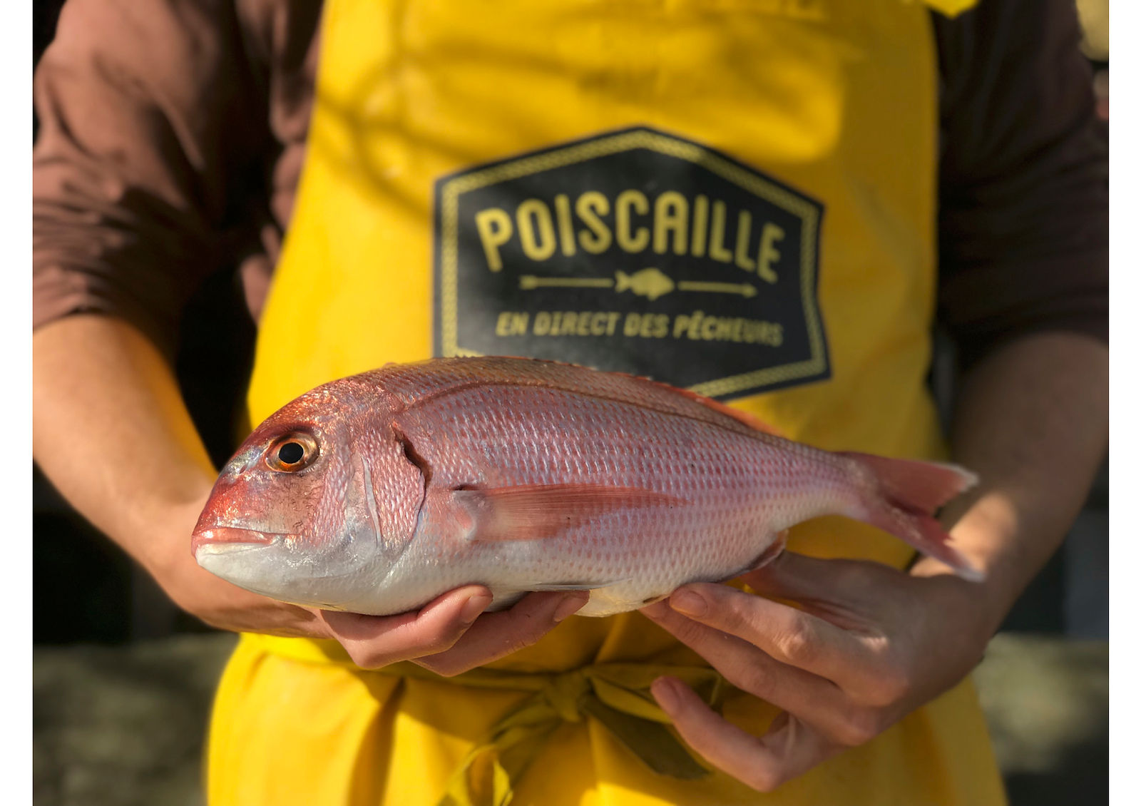 Poiscaille photo 1.jpg